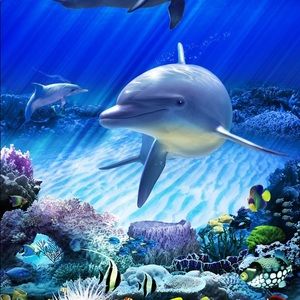 Meet your Posher, Ham